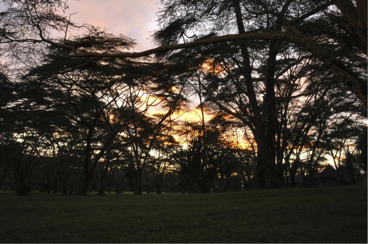 Lake Naivasha Sopa Resort Εξωτερικό φωτογραφία
